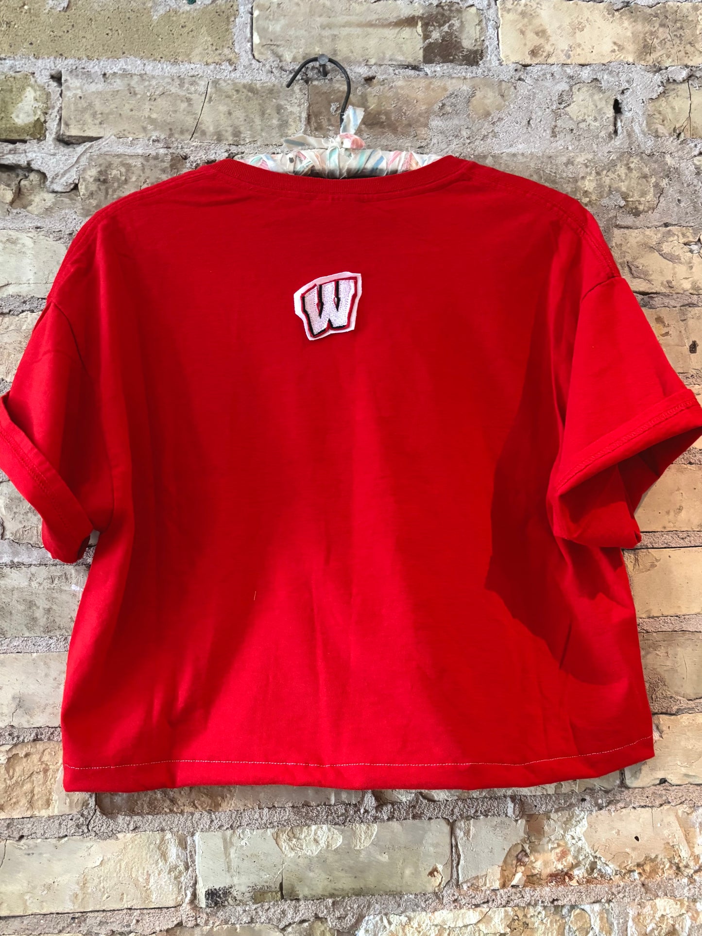 Reworked Retro Wisconsin Badgers Crop Top Crewneck T-Shirt