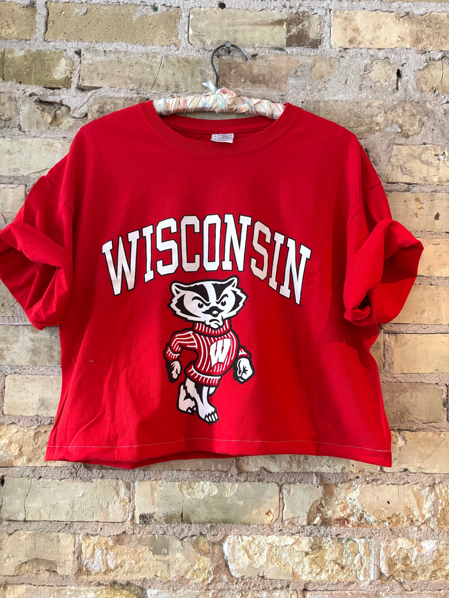 Reworked Retro Wisconsin Badgers Crop Top Crewneck T-Shirt