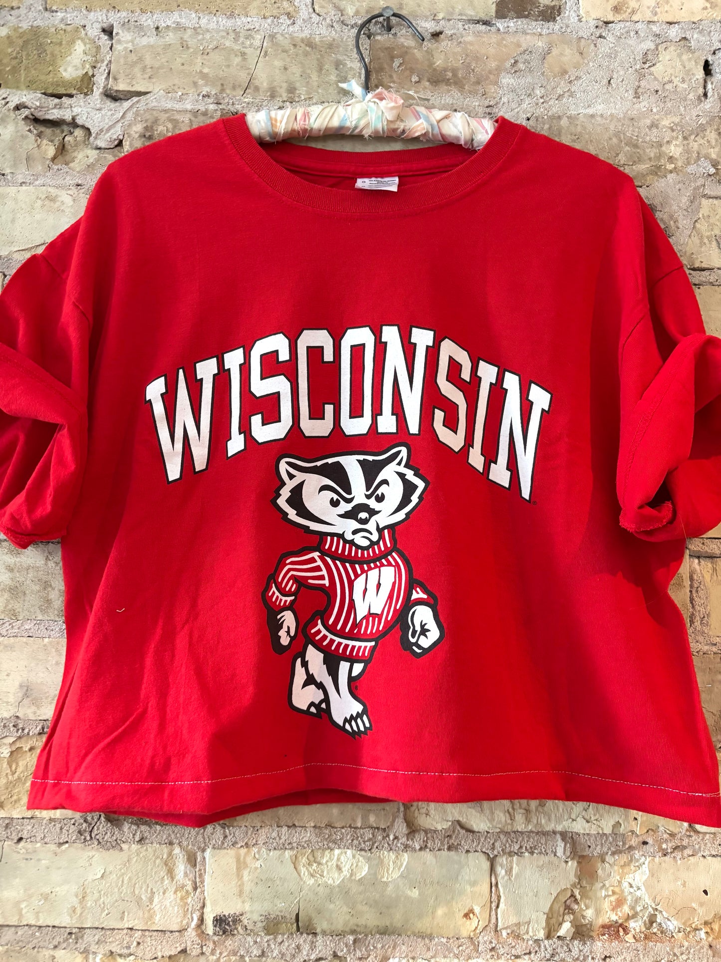 Reworked Retro Wisconsin Badgers Crop Top Crewneck T-Shirt