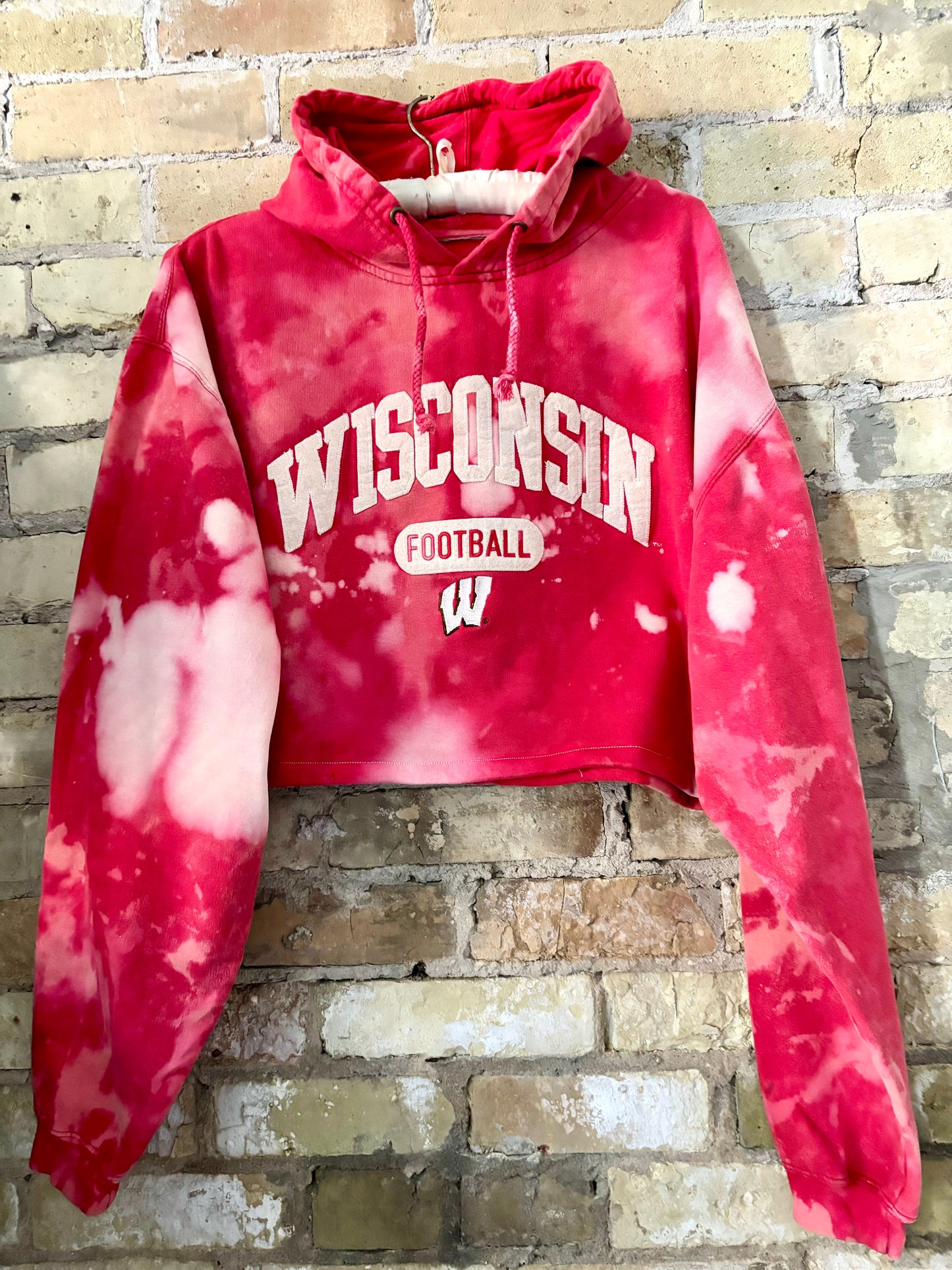Reworked vintage Wisconsin Badgers Cropped & distressed Hoodie