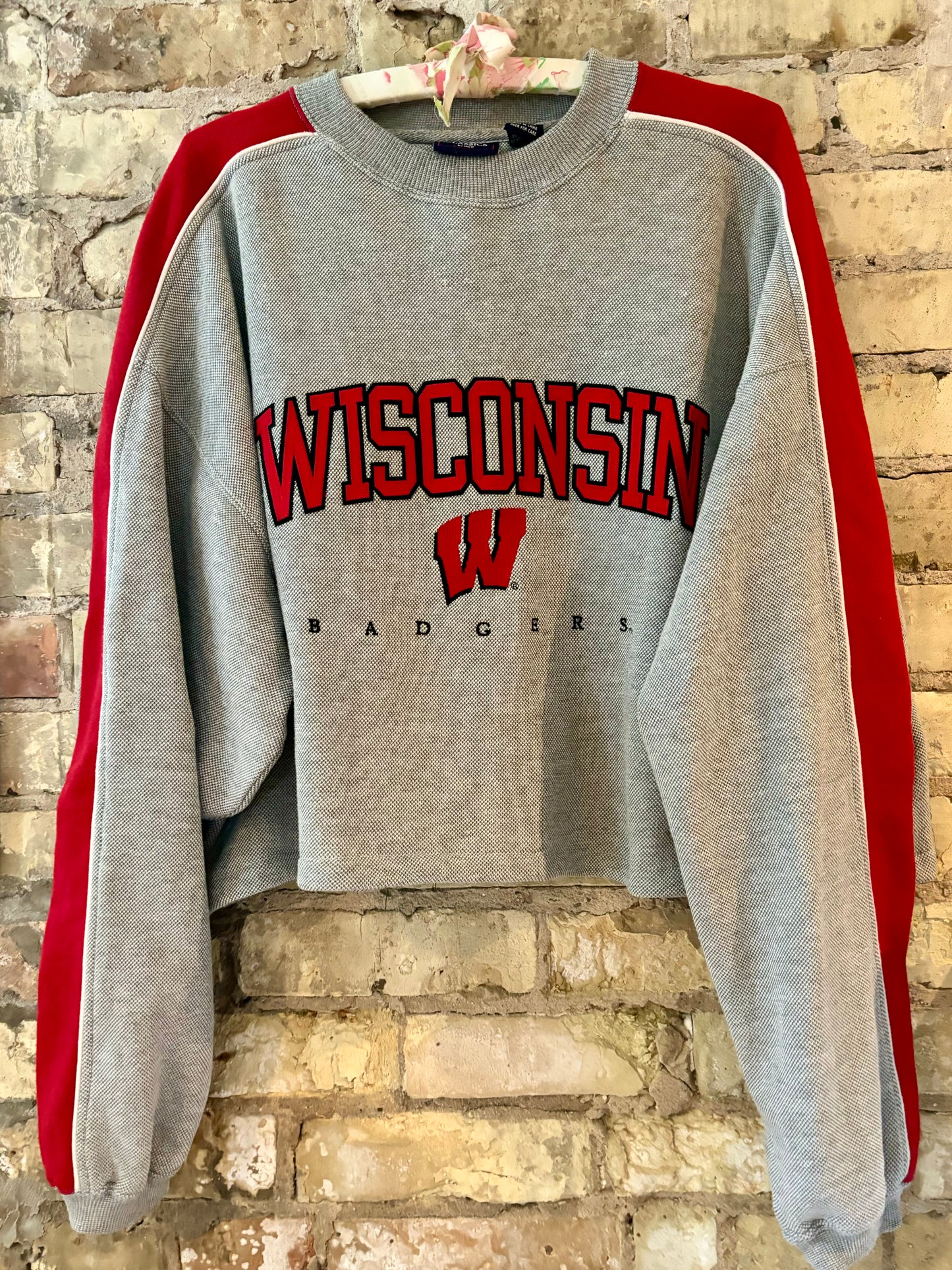 Reworked 90’s Retro Wisconsin Badgers Cropped Crewneck