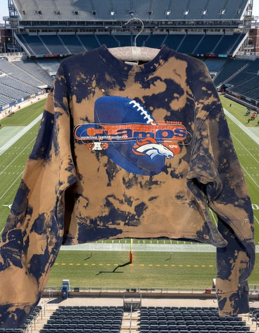 Vintage  90s Pro Player Denver Broncos Division Champions Distressed crewneck