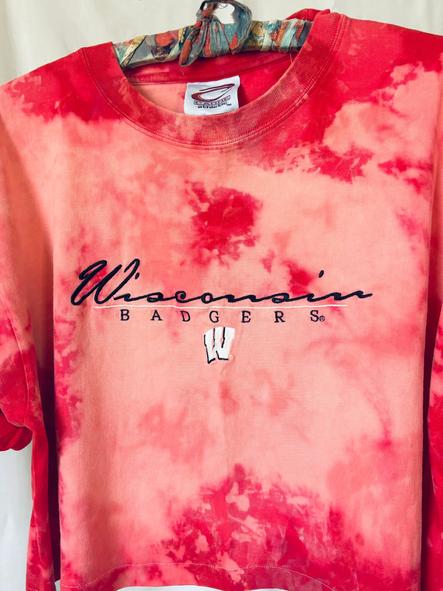 Vintage Wisconsin Badgers Cropped & Distressed Crewneck Tee