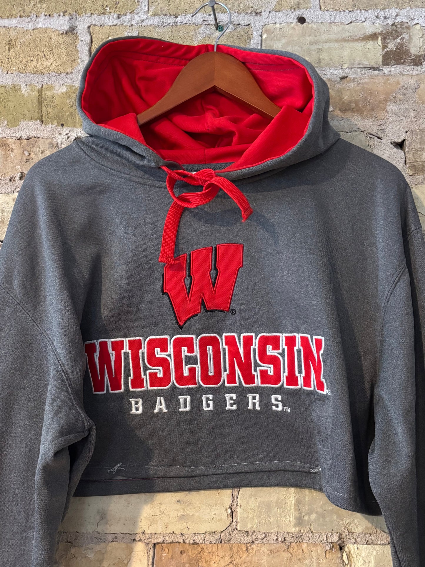 90s Wisconsin Badgers Cropped Hoodie