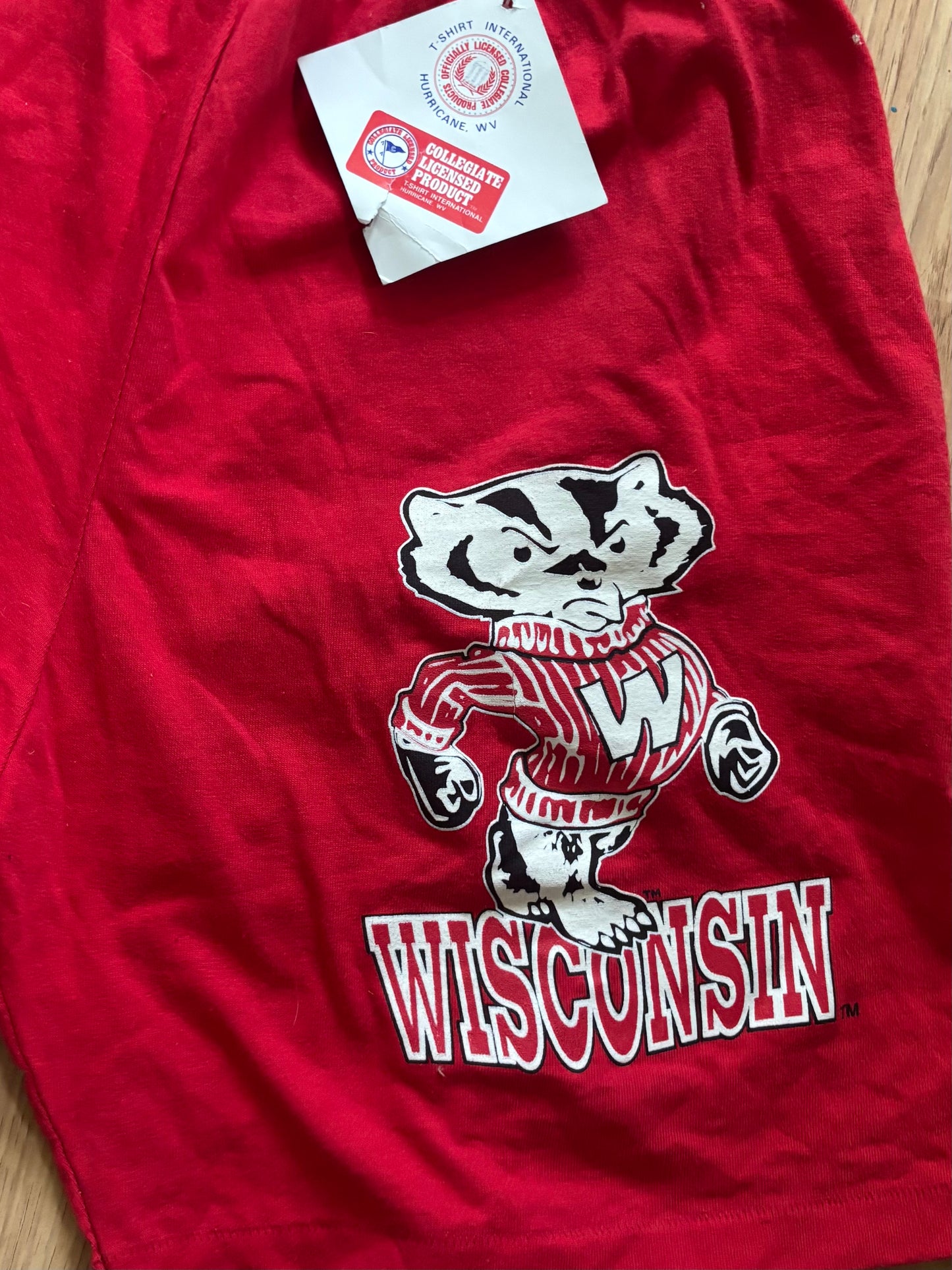 Vintage 90’s Wisconsin Badgers High Waisted Gym Shorts
