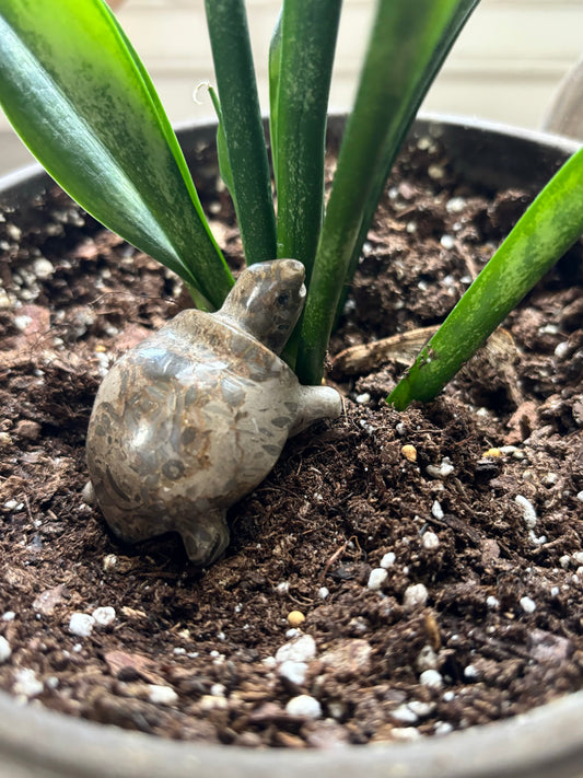 Vintage polished Jasper Plant Pet Turtle Figurine