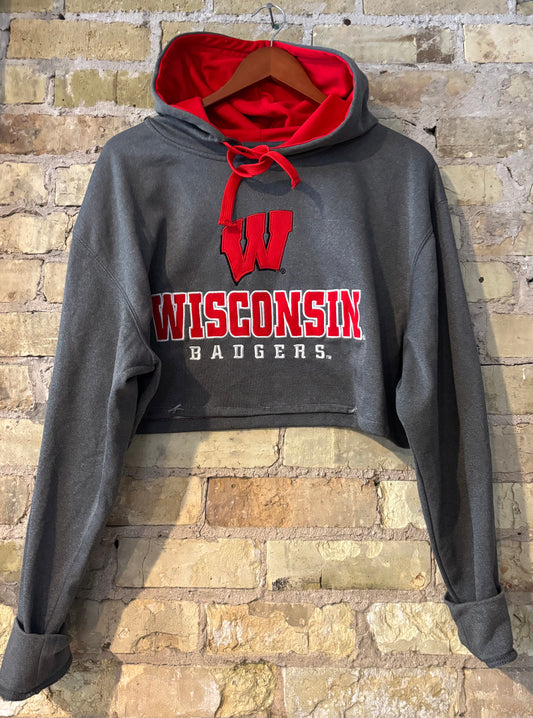 90s Wisconsin Badgers Cropped Hoodie