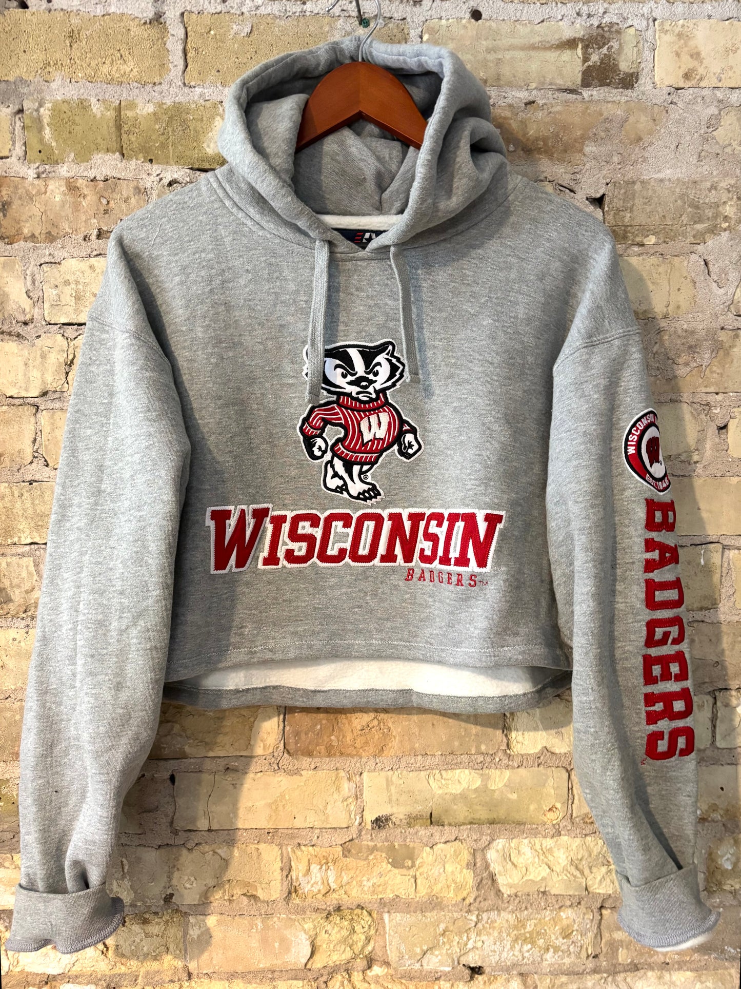 90s Wisconsin Badgers Retro Cropped Hoodie