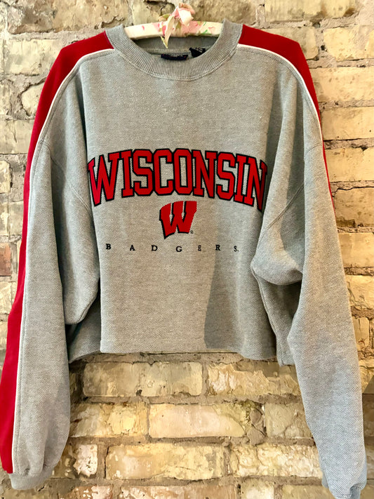 Reworked 90’s Retro Wisconsin Badgers Cropped Crewneck