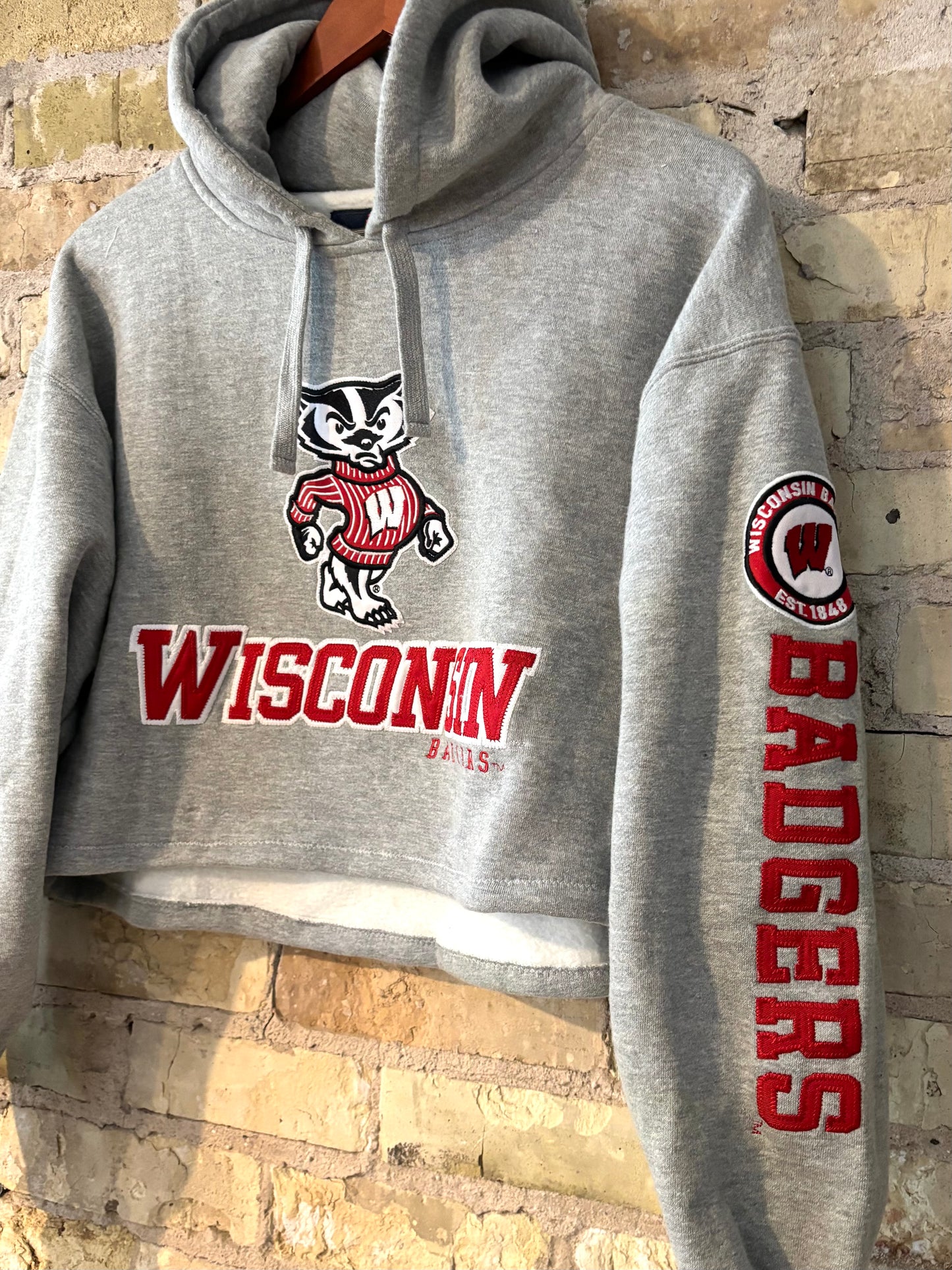 90s Wisconsin Badgers Retro Cropped Hoodie