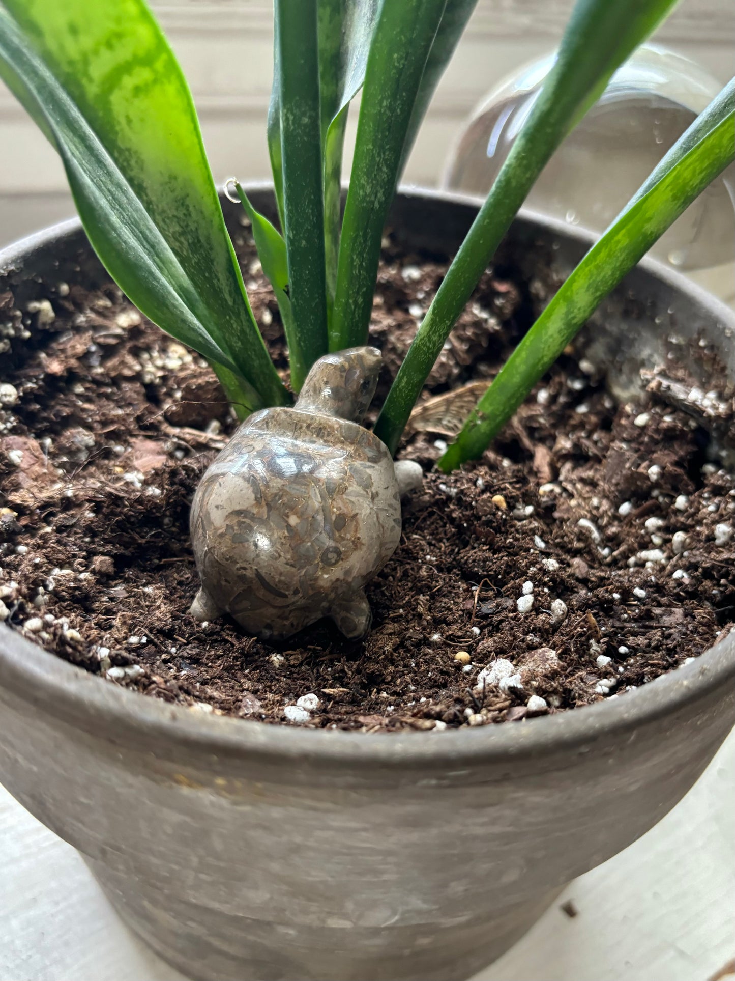 Vintage polished Jasper Plant Pet Turtle Figurine