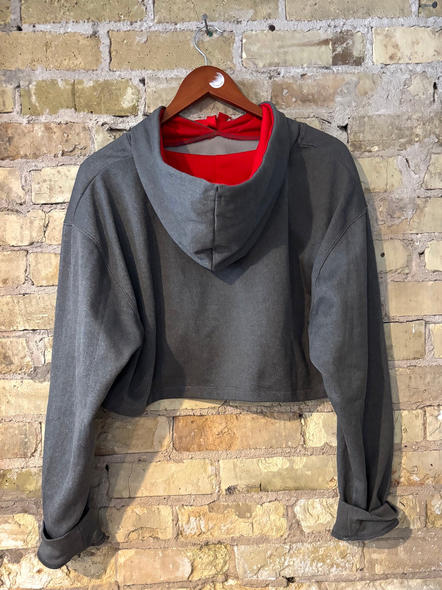 90s Wisconsin Badgers Cropped Hoodie