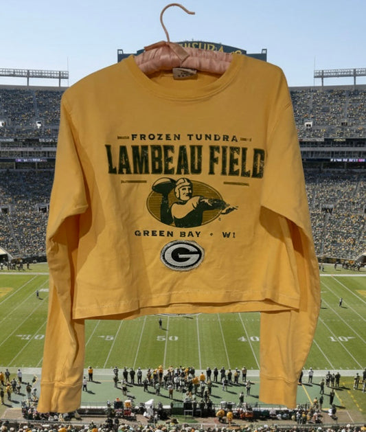 Reworked vintage Cropped Lambeau Field “Frozen Tundra” Tshirt